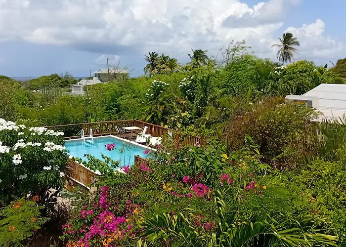 The Pool House