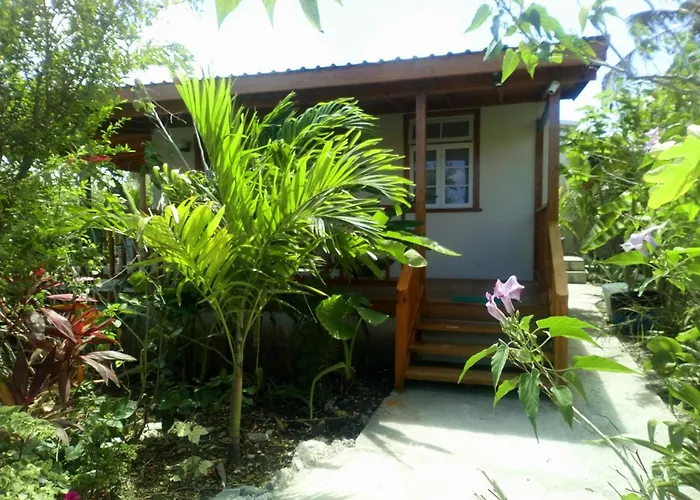 The Pool House